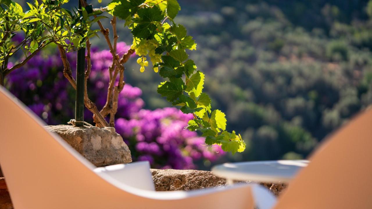 Verdera Hotel