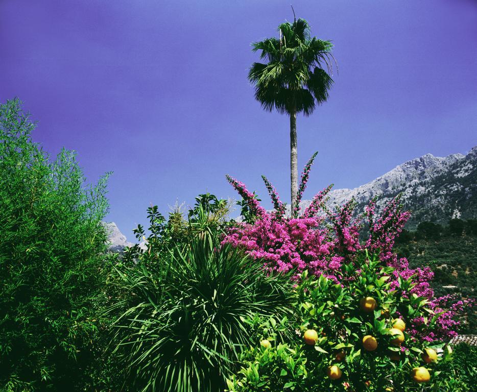 Hotel Verdera Fornalutx